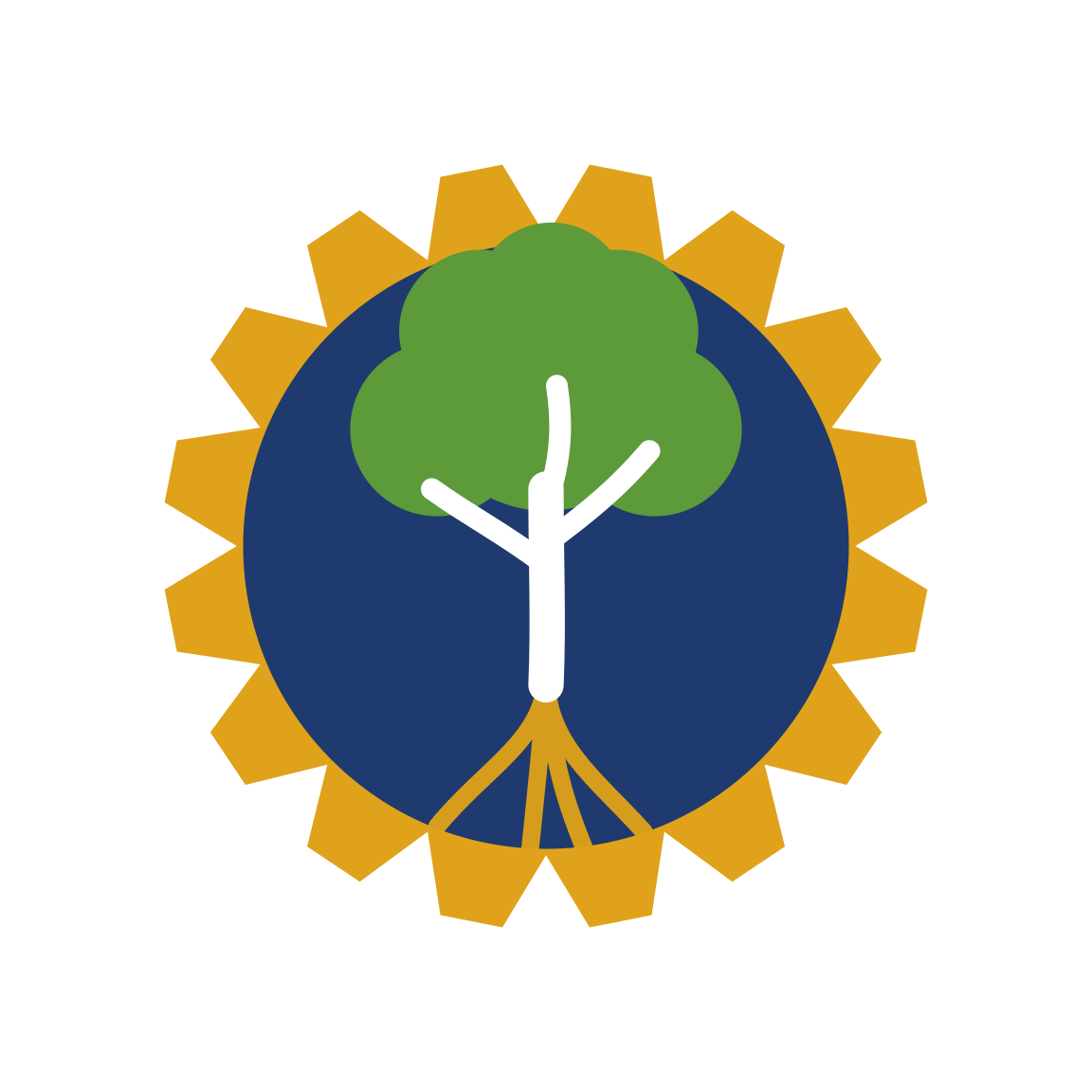Mezquite